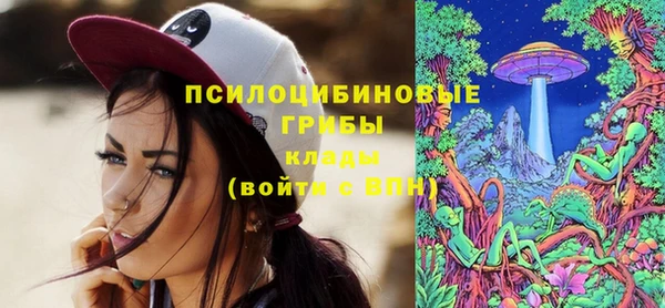 молекула духа Фурманов